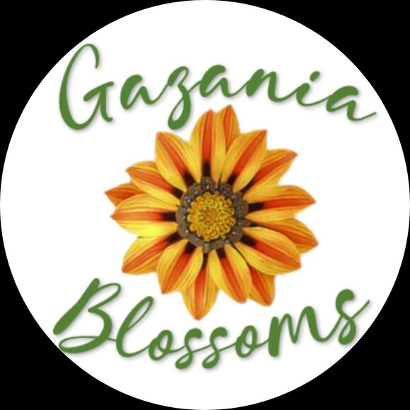 gazaniablossoms